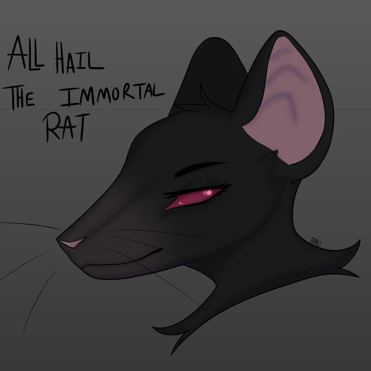 Immortal rat