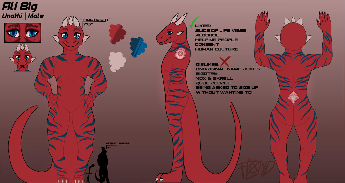 Ali Bigg Reference Sheet